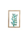 Magical Seaweed print - Gold frame - Mary Tale