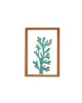 Magical Seaweed print - Wood frame - Mary Tale