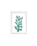 Magical Seaweed print - White frame - Mary Tale